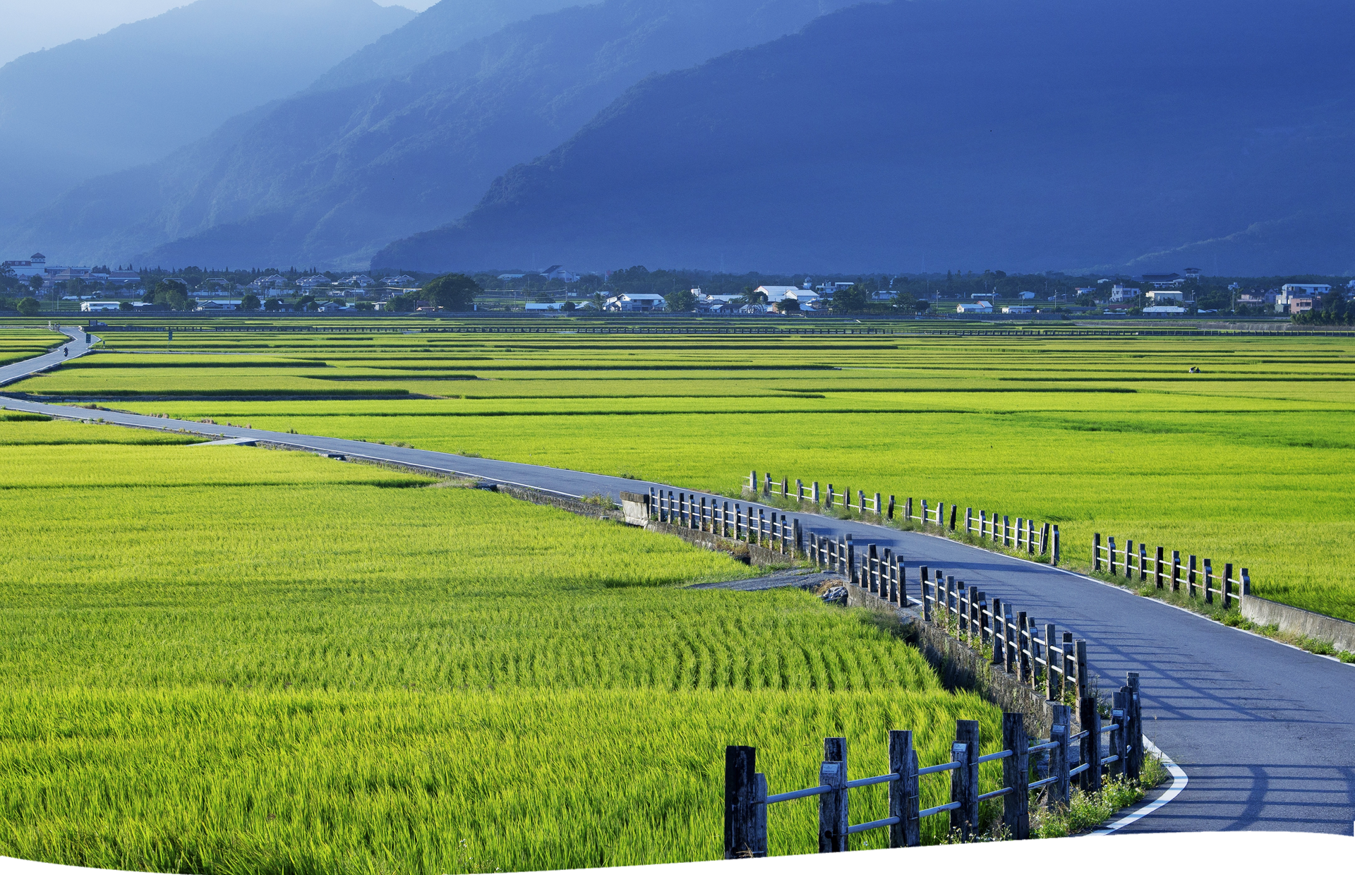 舒適旅程安全可靠 盡在橋亞通運